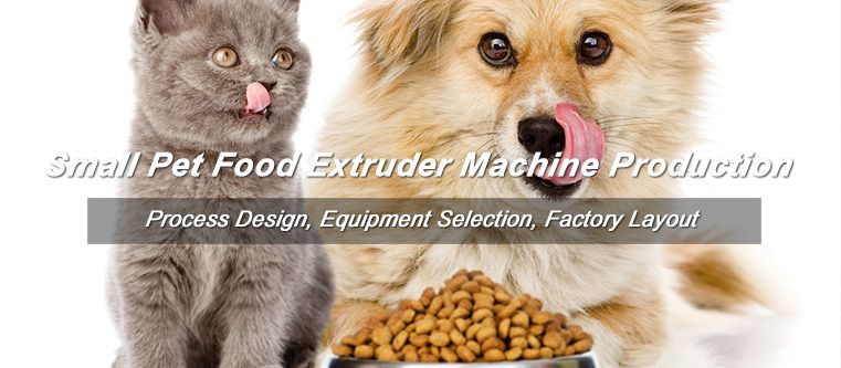 40kg/hr Small Pet Food Extruder Machine to Armenia