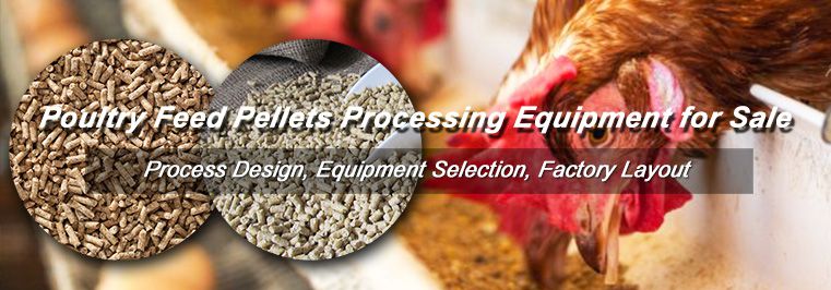 Poultry Feed Pellets Processing Technology Equipment