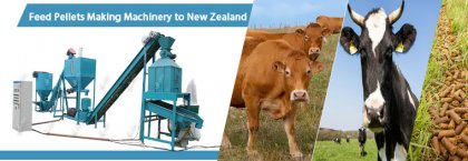 Making 600-800kg/h Cattle Feed Pellets in New Zealand