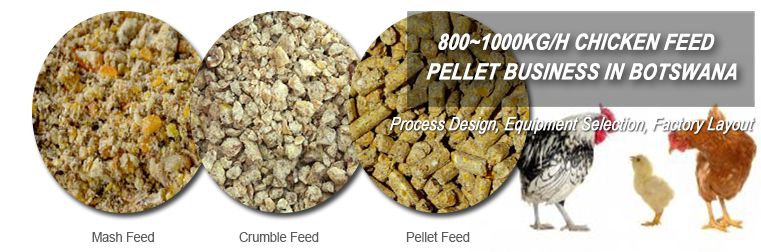 800~1000Kg/h Chicken Feed Pellet Plant Business in Botswana