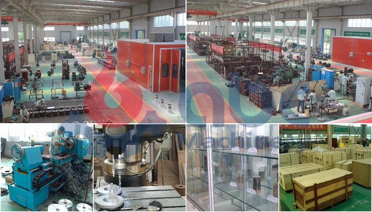 China Feed Pellet Mill | Feed Pellet Plant Reliable Manufacturer