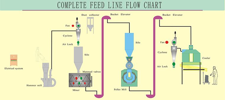 Cattle Feed Pellet Production Process and Equipment