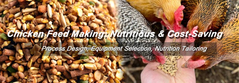 Premium Homemade Chicken Feed Guide - Nutrition, Recipes & Equipment