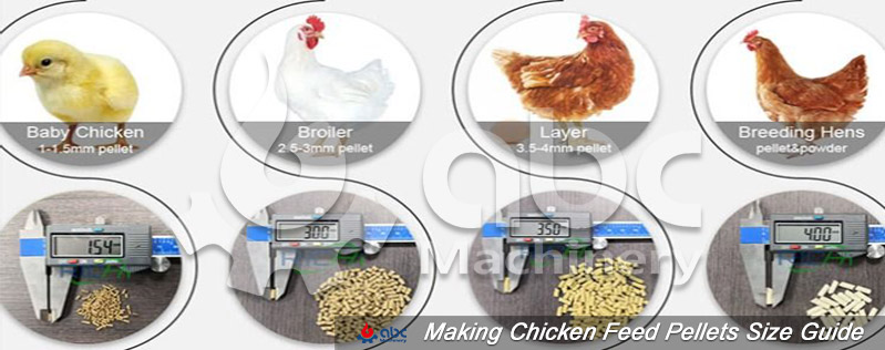 Chicken Feed Pellet Size Recommendations for Chicks, Growers & Layers