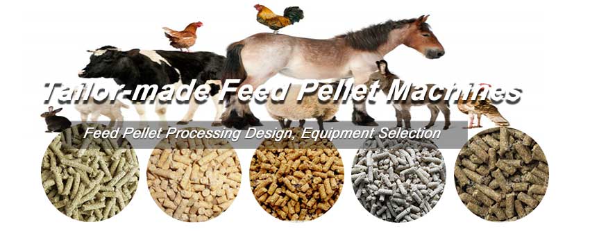 Choosing Right Feed Pellet Prodcution Machines