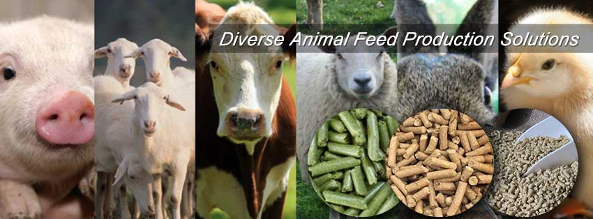 Diverse Livestock Feed Production Solutions