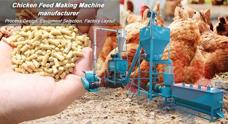 Poultry feed pellets processing technology & Equipment