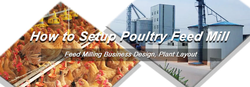 How to Setup A Poultry Feed Mill?