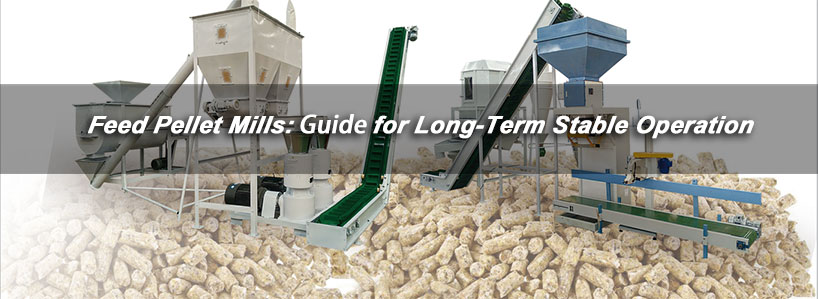 Effective Feed Pellet Milling: Key Precautions Guides