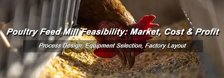 Poultry Feed Mill Feasibility: Market, Cost & Profit