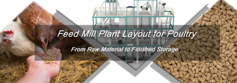 Poultry Feed Pellet Plant Layout Design