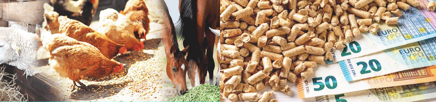 Profitable Feeding: Starting Animal Feed Mill Business
