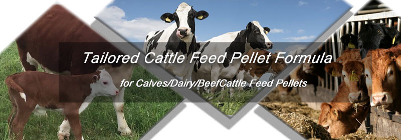 Tailored Cattle Feed Pellet Formula for Calves/Dairy/Beef - Cut Costs & Boost